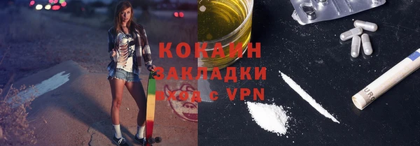 индика Богородск