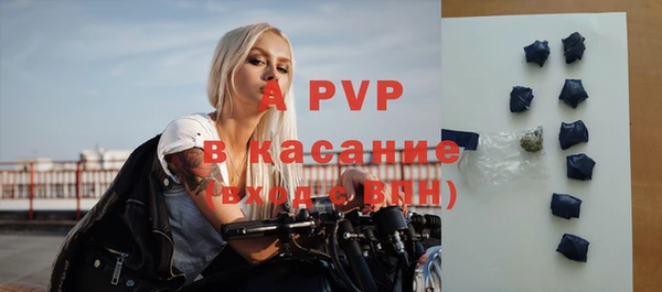 индика Богородск