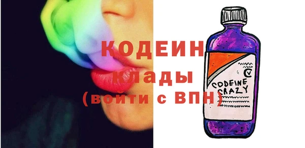 индика Богородск