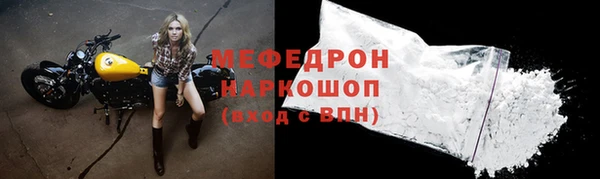 индика Богородск