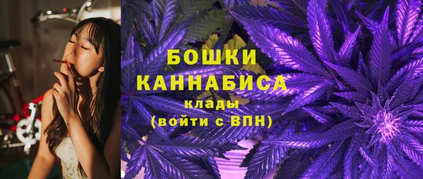 индика Богородск