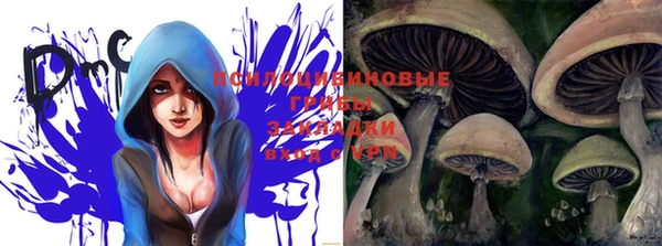 мяу мяу кристалл Богданович