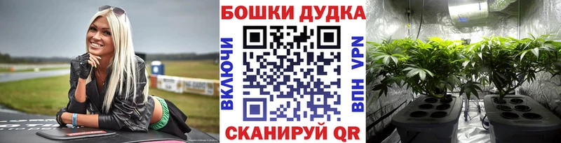 Бошки Шишки план  Купить где  Сафоново 